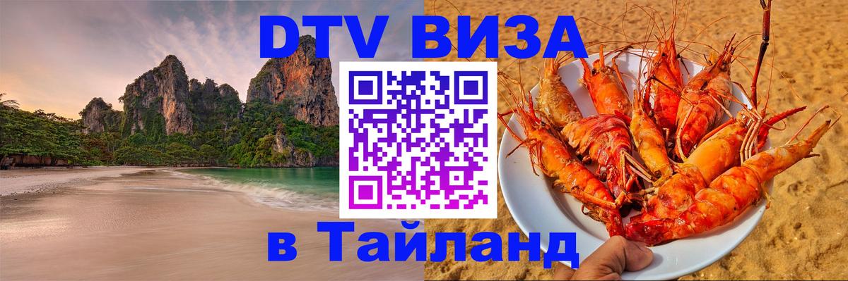 Оформление DTV визы под ключ: стоимость и тарифы, только загранпаспорт - Энгельс  20.11.2025 